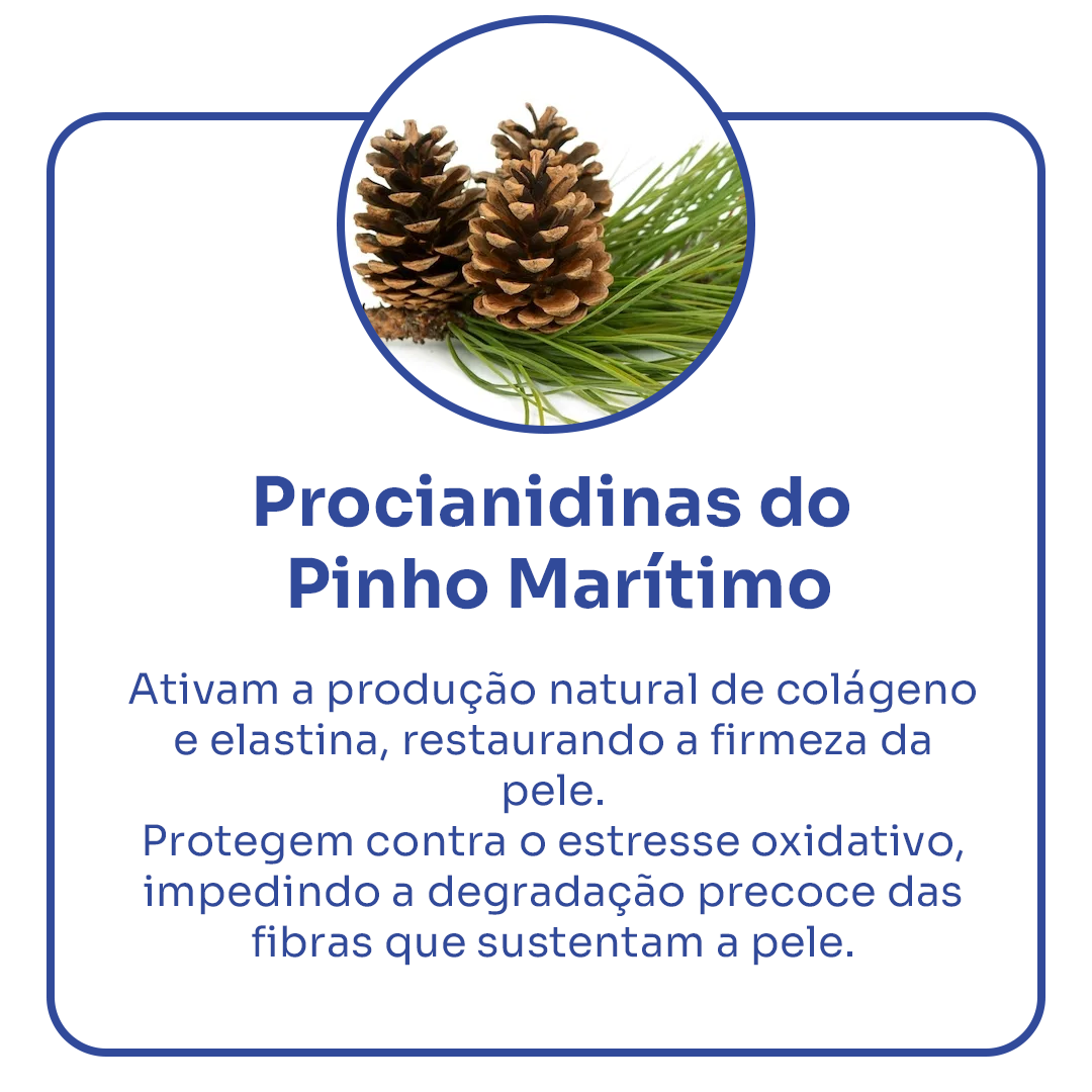 Pinho Marítimo